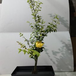 課程圖片 3